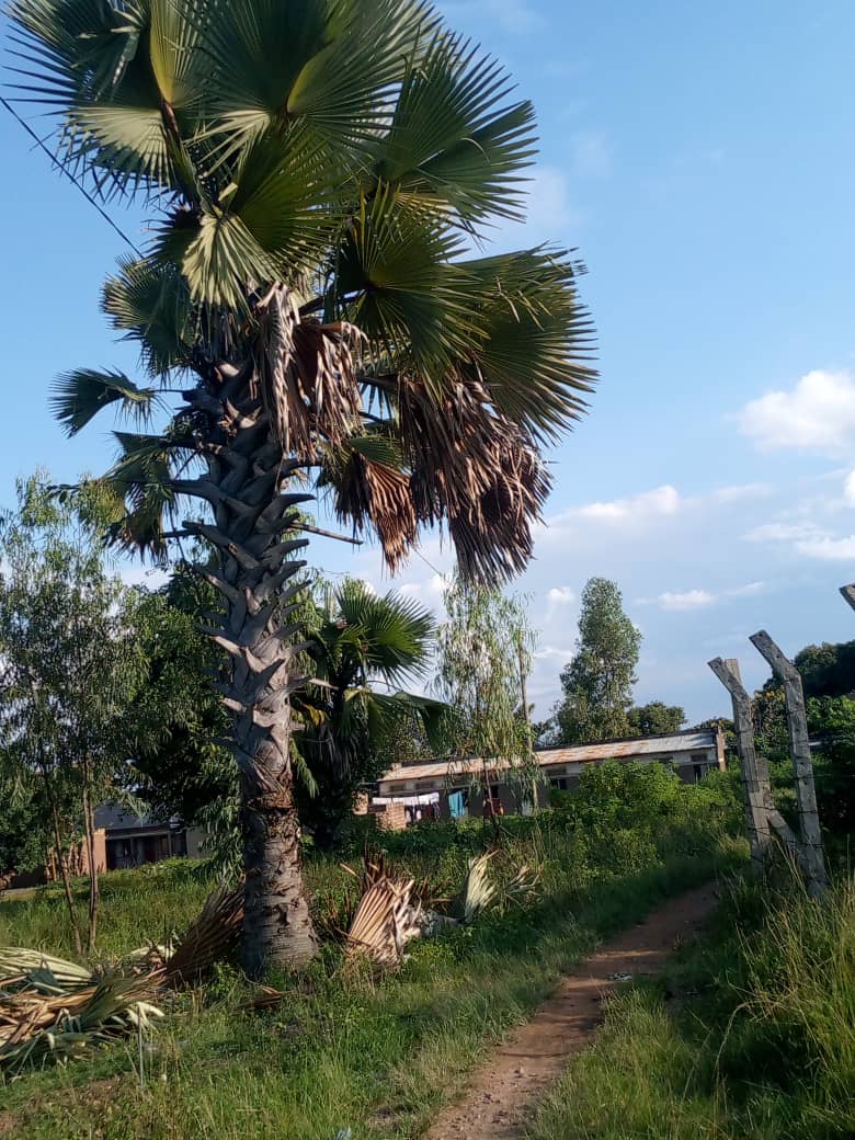 Civil infrastructure project in progress